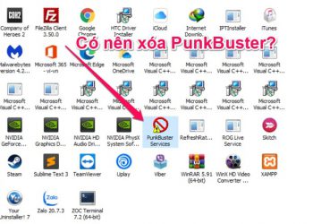 PunkBuster là gì