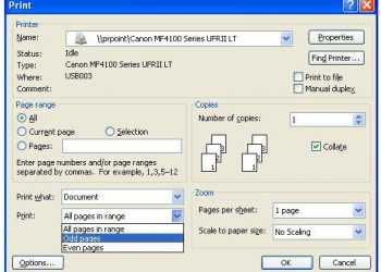 Cách in 2 mặt giấy trong Word