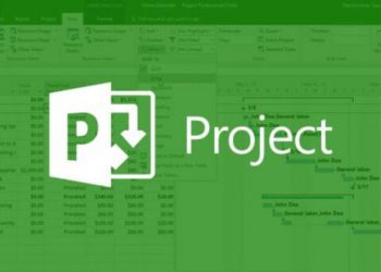 Microsoft Project 2013