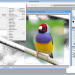Phần mềm Photoshop CS2