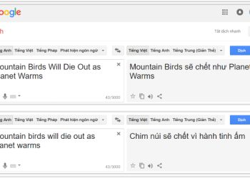 ứng dụng dịch tiếng Anh sang tiếng Việt 1