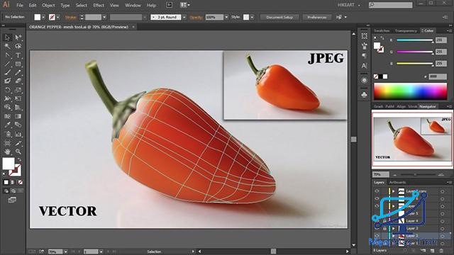 Phần mềm thiết kế Adobe Illustrator