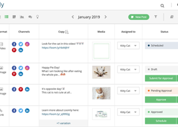 Phần mềm quản lý Fanpage – Loomly