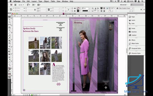 Adobe Indesign CS6 -11