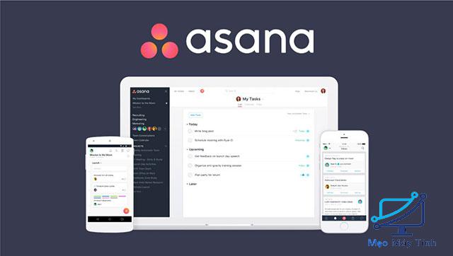 Phần mềm quản lý công việc Asana