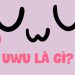 UwU là gì? Cách nhận biết 1 đứa bạn dễ thương trên MXH